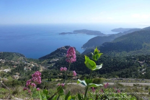 Private tour: Best of Italian Riviera San Remo & Dolce Aqua