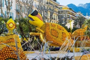 Private tour to discover & enjoy the best of French Riviera