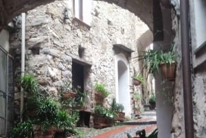 Private tour to discover & enjoy the best of French Riviera