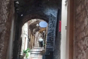 Private tour to discover & enjoy the best of French Riviera