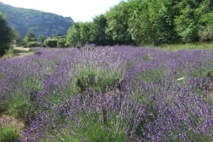 Countryside, Medieval Village and Lake Private Guided Tour