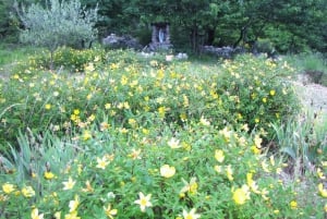 Countryside, Medieval Village and Lake Private Guided Tour