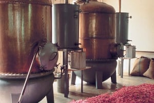 Countryside, Medieval Village and Lake Private Guided Tour