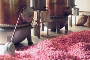 Provence Countryside & Medieval Villages Day Trip