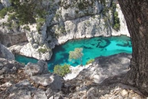 Provence private tour: Aix-en-Provence, (Marseille) & Cassis