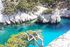 Provence private tour: Aix-en-Provence, (Marseille) & Cassis
