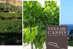 Provence private tour: Aix-en-Provence, (Marseille) & Cassis