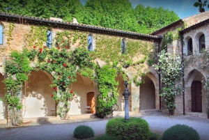 Private Day Trip to Provence and Lavender Fields