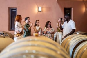 Provence Wine Tour - Private Tour from Nice