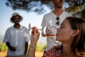 Provence Wine Tour - Private Tour from Nice