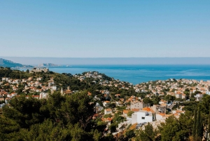 Richness of Provence in one day - customizable private trip