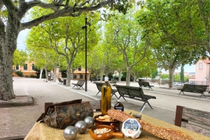 Richness of Provence in one day - customizable private trip