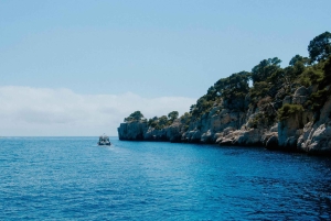 Richness of Provence in one day - customizable private trip