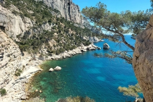 Richness of Provence in one day - customizable private trip