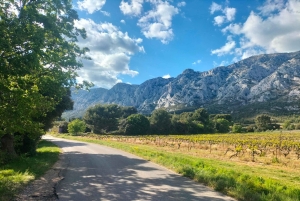 Richness of Provence in one day - customizable private trip