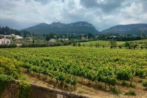 Richness of Provence in one day - customizable private trip