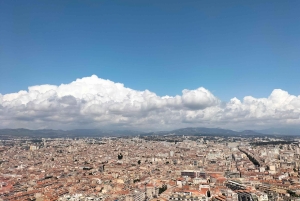 Richness of Provence in one day - customizable private trip