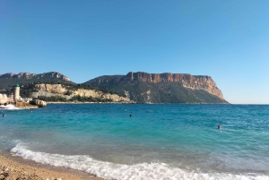 Richness of Provence in one day - customizable private trip