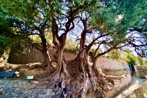 Roquebrune-Village & Grimaldi Castle - Walking Tour