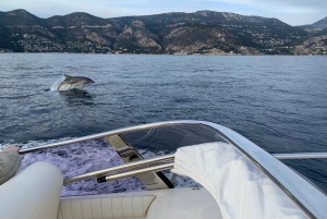 Saint-Jean-Cap-Ferrat: French Riviera Luxury Cruise