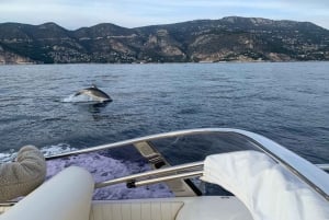 Saint-Jean-Cap-Ferrat: French Riviera Luxury Cruise