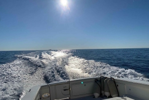 Saint-Jean-Cap-Ferrat: French Riviera Luxury Cruise