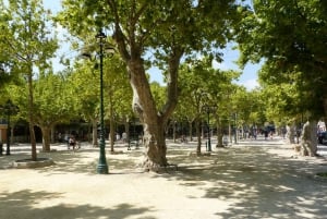 Saint Tropez and Port Grimaud: Full-Day Tour