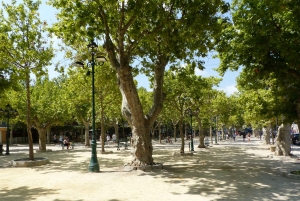 Saint Tropez and Port Grimaud: Full-Day Tour