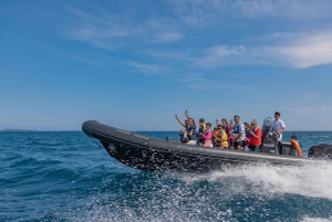 Sea excursion - Monaco from Nice