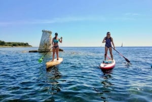 Stand-Up Paddle & Snorkeling with local Guide near Nice
