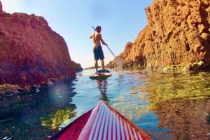 Stand-Up Paddle & Snorkeling with local Guide near Nice