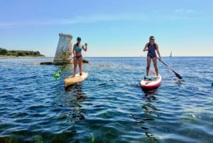 Stand-Up Paddle & Snorkeling with local Guide near Nice