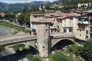 The French Riviera and The French Alps in one Day