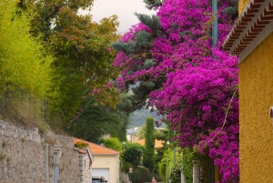 Tour in a vintage Méhari between Nice, Eze, and Monaco on the Côte d'Azur