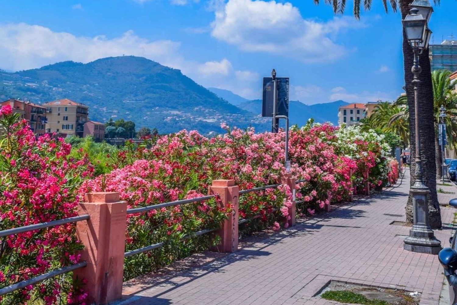 TOUR SANREMO MARKET, VENTIMILLE, MENTON, MONACO, MONTECARLO