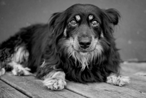 Travel with photography: 2-hour photo shoot