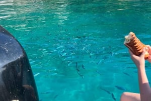 Unforgettable Boat Excursion