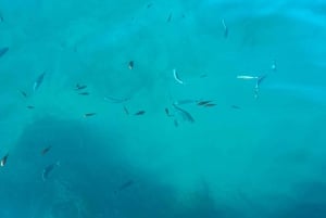 Unforgettable Boat Excursion