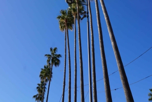 Tour in a vintage Méhari between Nice, Eze, and Monaco on the Côte d'Azur