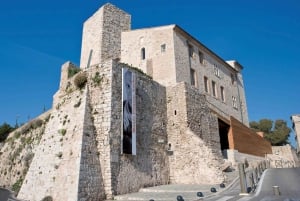 Visit Saint Paul de Vence, Antibes, and Cannes: 7-Hour Tour