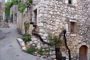 Visit Saint Paul de Vence, Antibes, and Cannes: 7-Hour Tour