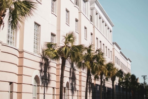 Visite guidée de Nice avec photo et vidéo