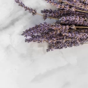 Perfume Creation Workshop at Parfum et Vous
