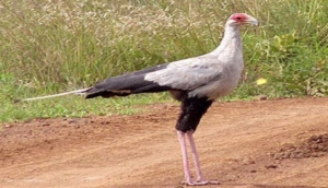 Kamuku National Park