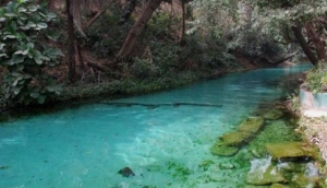 Yankari Game Reserve's natural spring