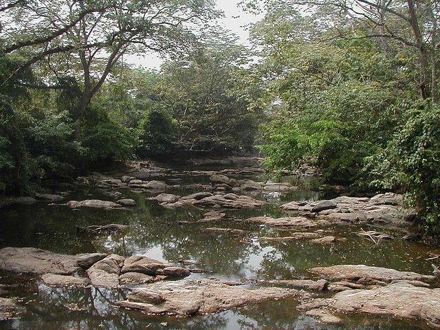 Osun River; oneVillage Initiative