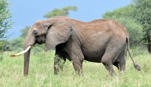 Kamuku National Park
