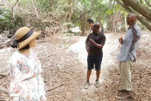 Abuja: Bauchi & Yankari Game Reserve 4-daagse tour met safari
