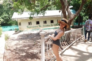 Abuja: Bauchi & Yankari Game Reserve 4-daagse tour met safari