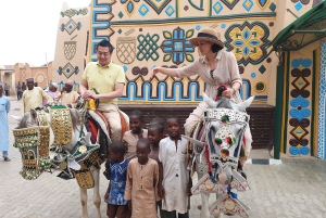 Abuja: Bauchi & Yankari Game Reserve 4-daagse tour met safari